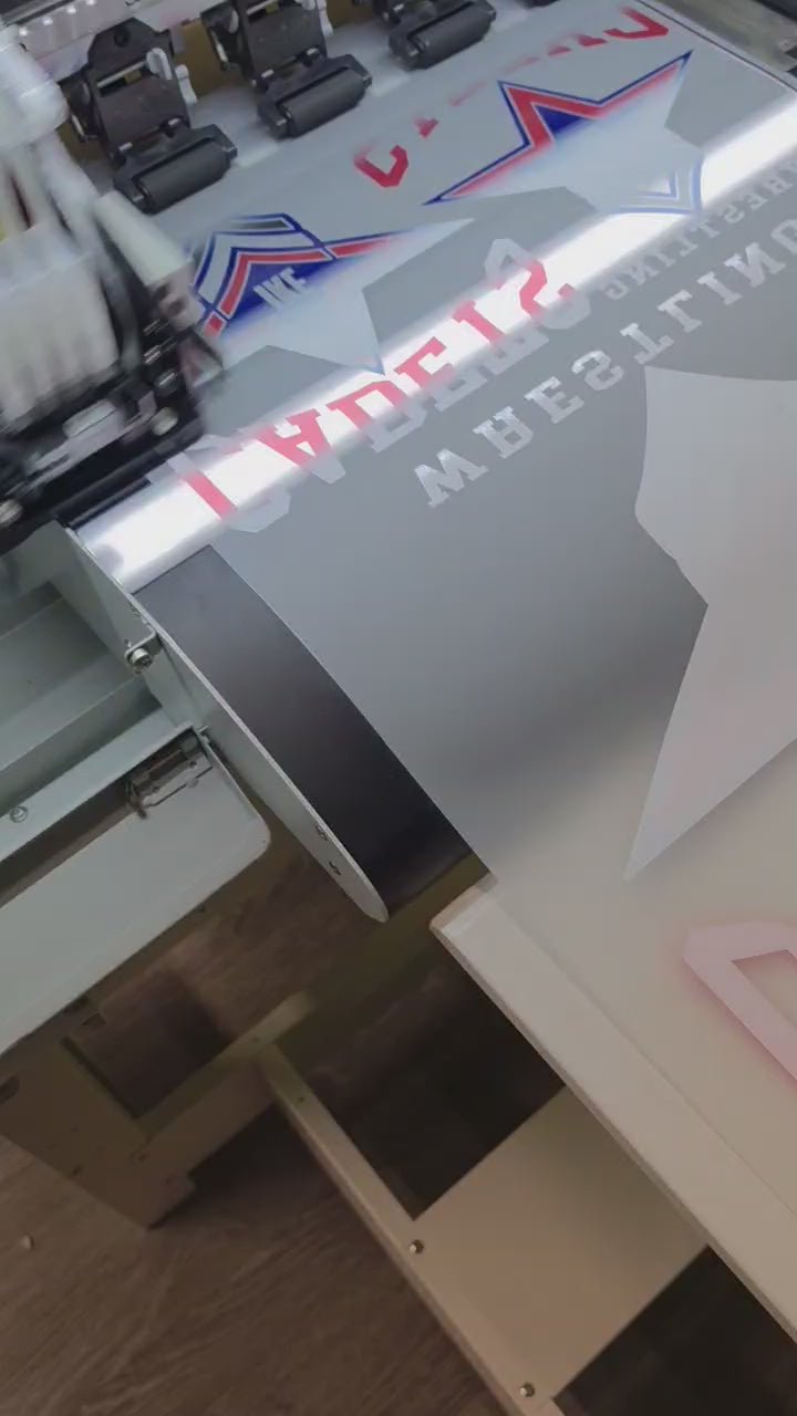7th Year Anniversary Promo: Naruhoshi DTF432, 17 inch print wide, 2 -i1600 printheads, a flexible DTF Solutions with US local support